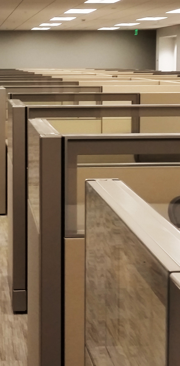 Furniture and Fixtures